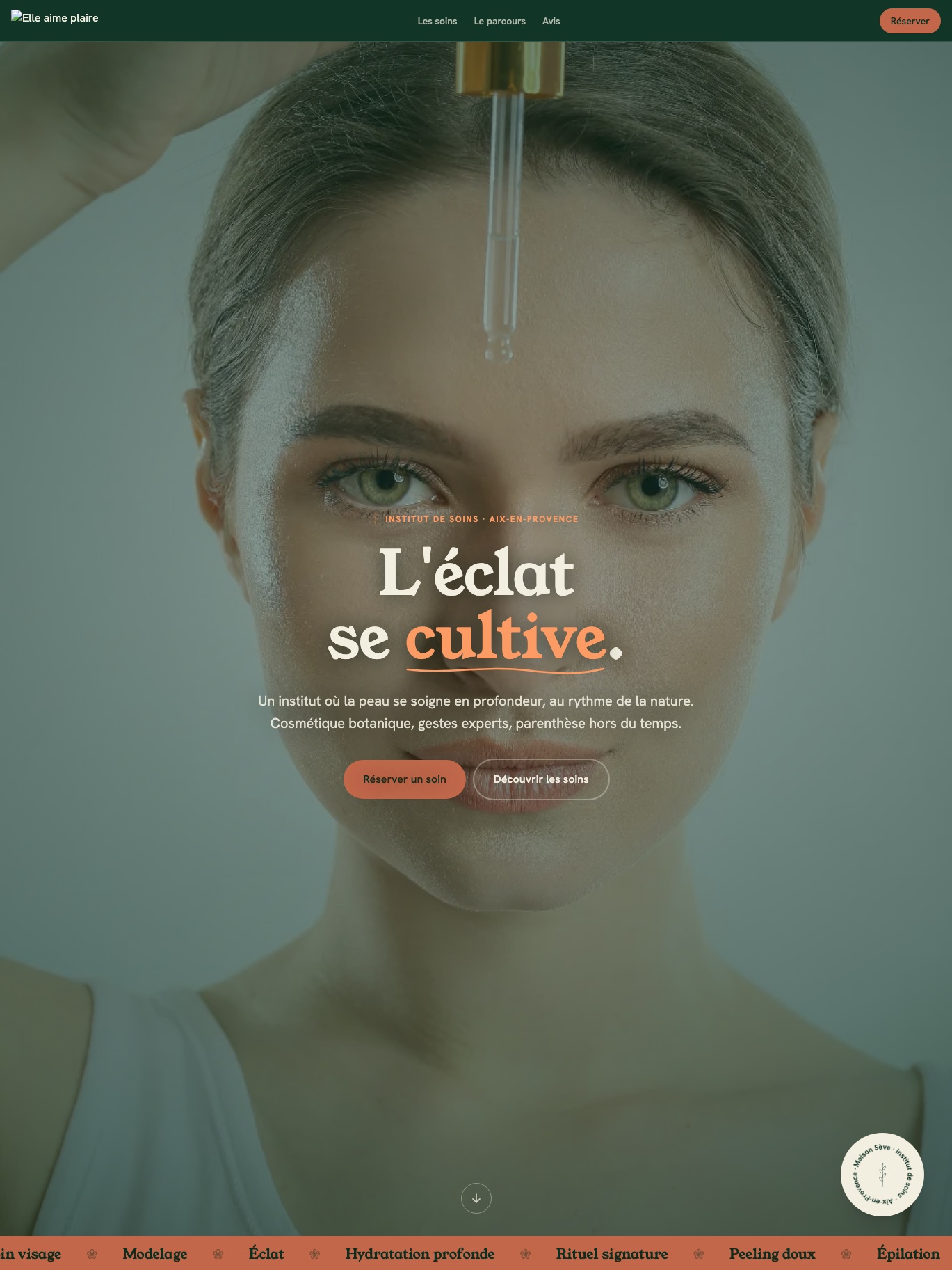 Aperçu du template Sève
